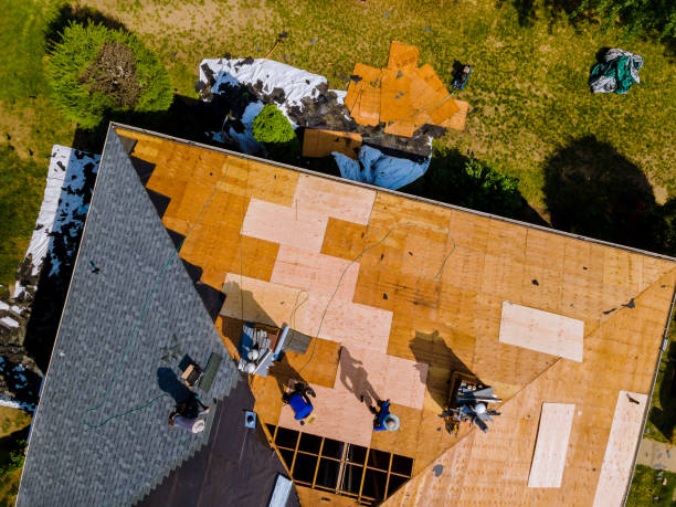 Best Gutter Installation and Roofing  in Perryville, AR