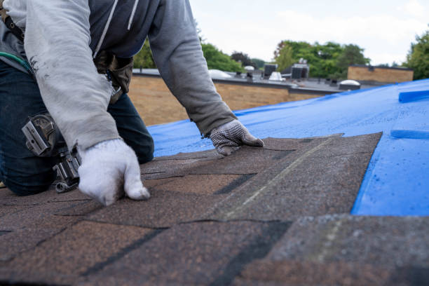 Best Residential Roofing Contractor  in Perryville, AR