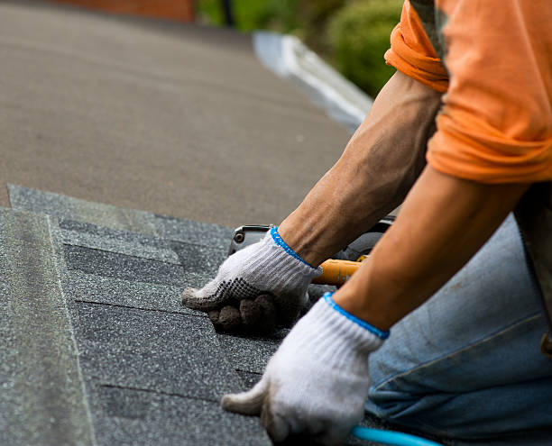 Best Roof Gutter Cleaning  in Perryville, AR